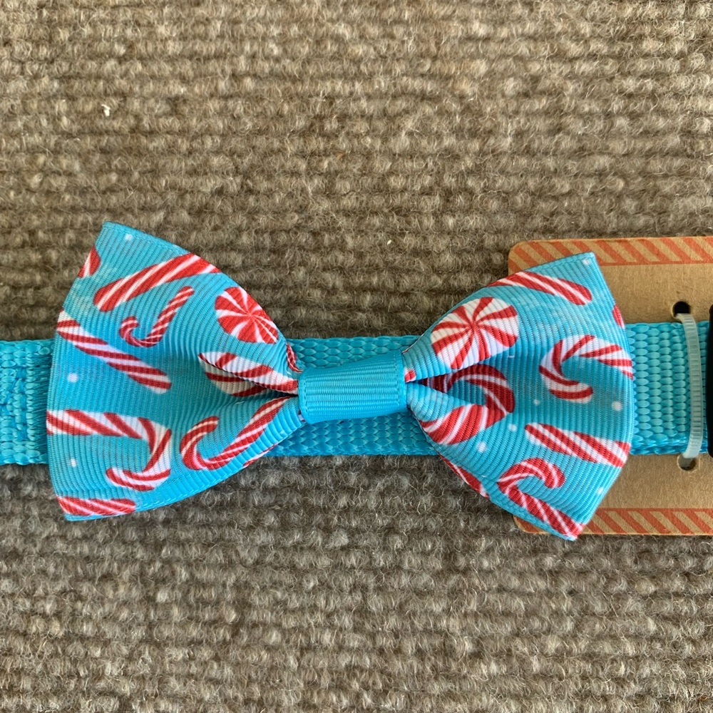 Holiday Dog Leash with Bow Tie